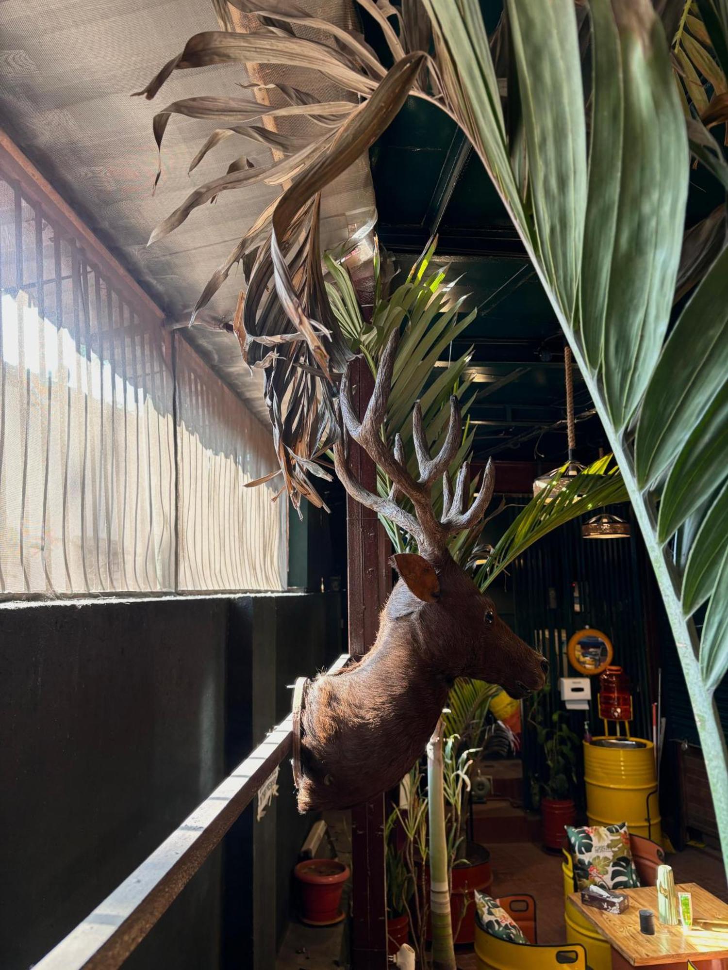 Forrest Hostels Bombay Extérieur photo